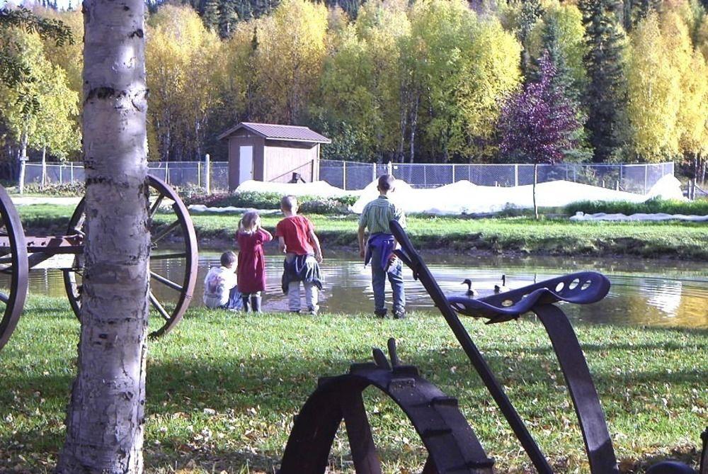 Chena Hot Springs Resort Fairbanks Kültér fotó